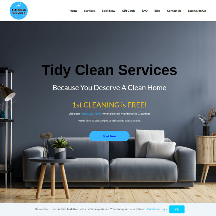 Tidyclean