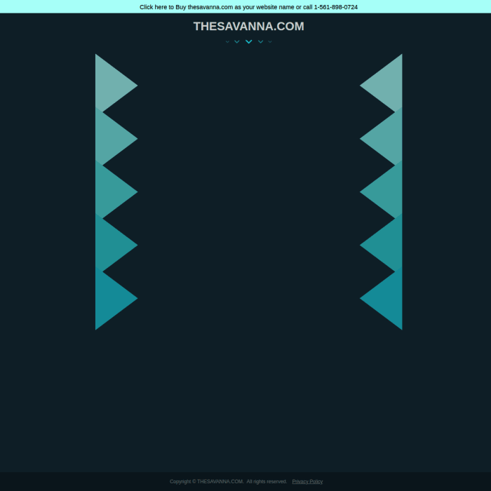 Thesavanna