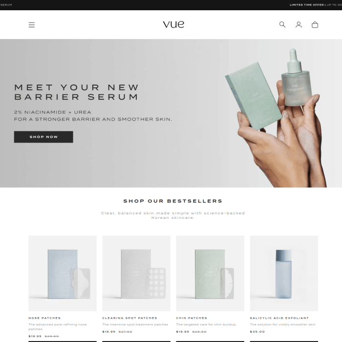 Vueskin
